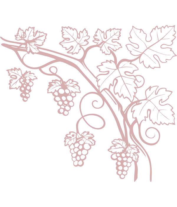 RƯỢU VANG_pattern